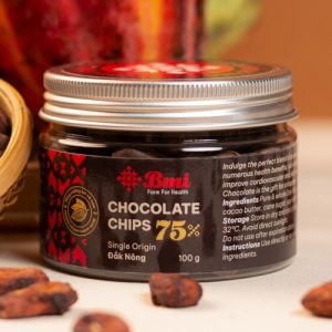 Chocolate chip 75% - 100g